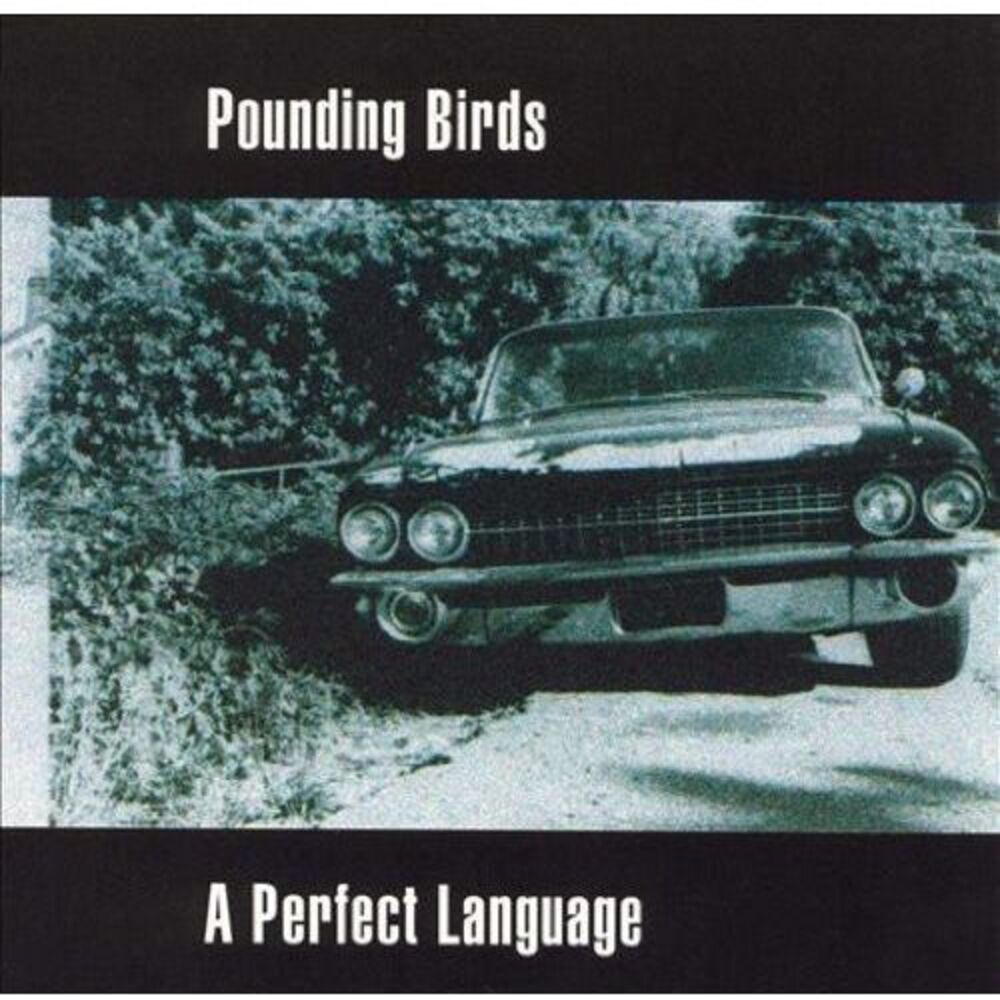 Pounding Birds - Perfect Language  CD